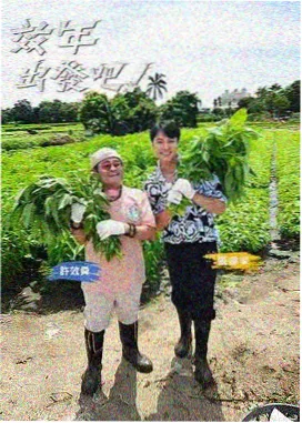 中国好声音 在线观看免费视频